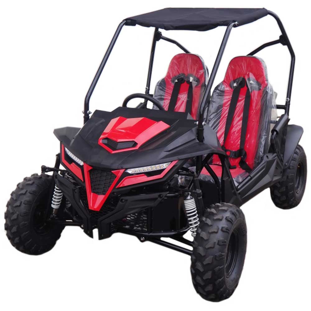 Cheetah 8 Mid-Sized Go Kart - 7hp, Torque Converter, Electric Start, Automatic with Reverse, Ages 12 and up